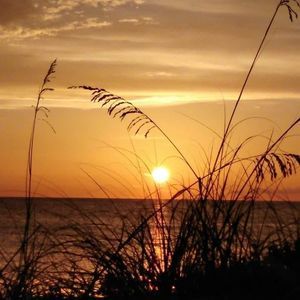 Meet your Posher, Deb